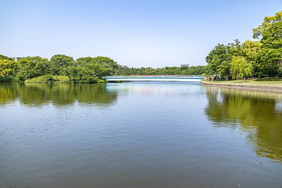 🌸 나가이 식물원(오사카 시리츠 나가이 쇼쿠부츠엔) 이미지 7
